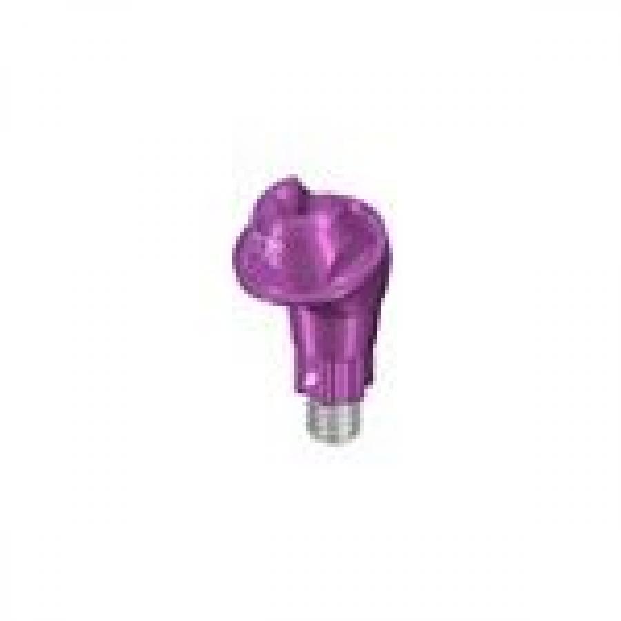 RB/WB SCREW-RETAINED ABUTMENT, ANGLED 17°, Ø 4.6MM, GH 3.5MM, TAN