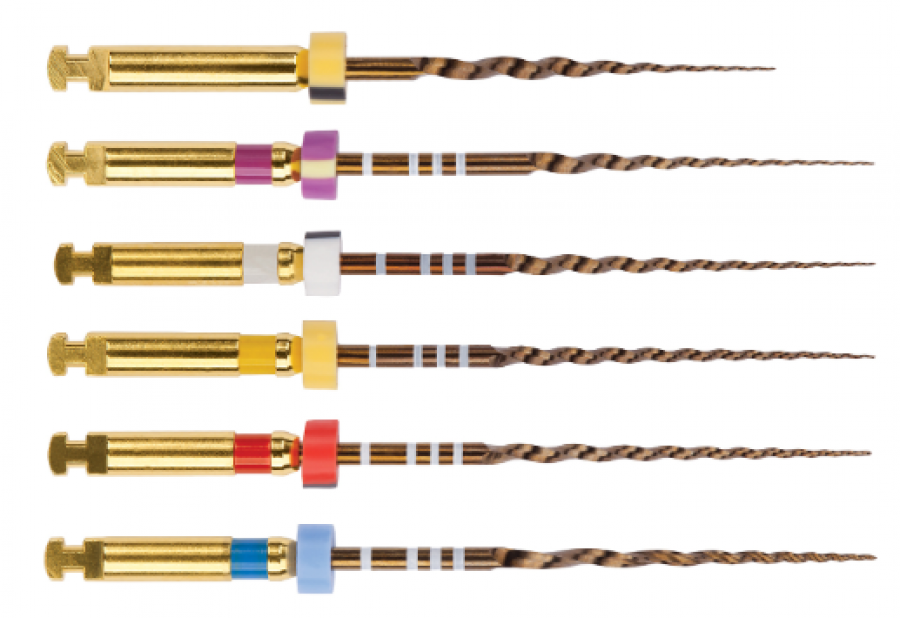 ProTaper Gold Rotary File Assorted SX-F3 25mm