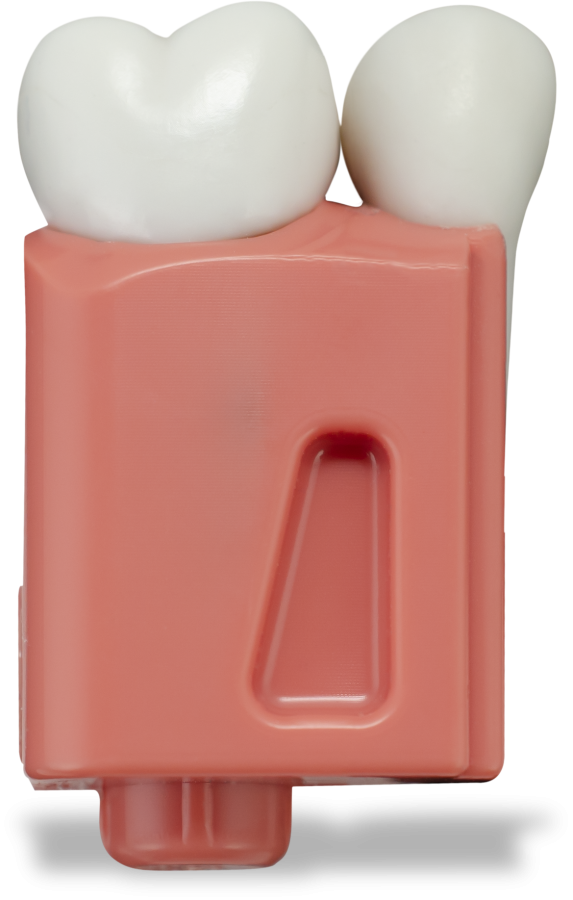 Real‑T Endo Tooth #14 in Breakaway Insert (Radiolucent)