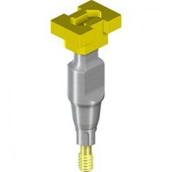 NC IMPRESSION POST CLOSED TRAY, WITH 1 GUIDE SCREW & 2 CAPS, TAN/POM