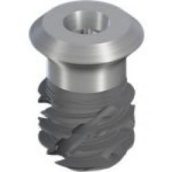 TLX S IMPLANT, Ø 5.5MM WT, SLACTIVE® 6MM, ROXOLID®