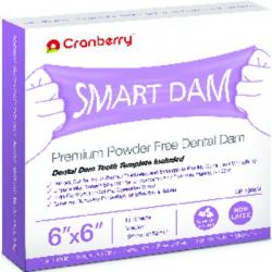 Smart Rubber Dam – Nonlatex, Mint Scented, 6" x 6"