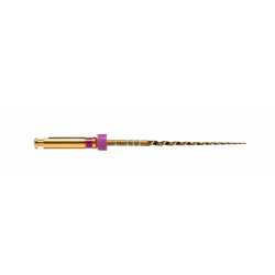 ProTaper Gold Rotary File Shaping 1 Purple 25mm (6pk)