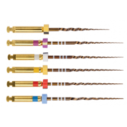 ProTaper Gold Rotary File Assorted SX-F3 25mm